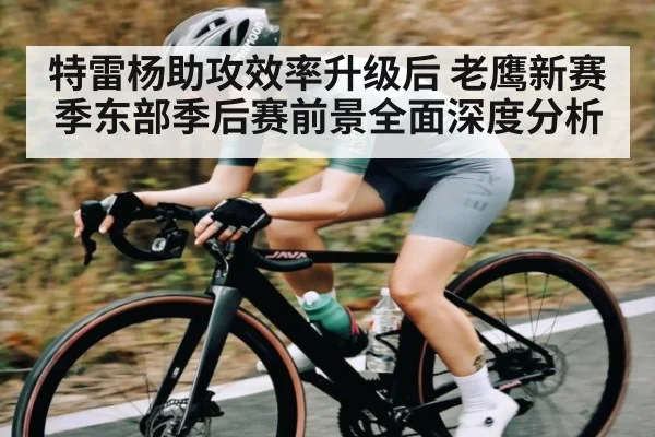 特雷杨助攻效率升级后 老鹰新赛季东部季后赛前景全面深度分析